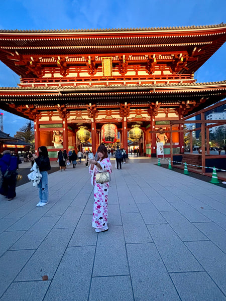 Day #3 - From Kimonos to Bonobos: Best of Asakusa & Ueno Park (8 hours)