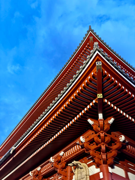 Day #3 - From Kimonos to Bonobos: Best of Asakusa & Ueno Park (8 hours)