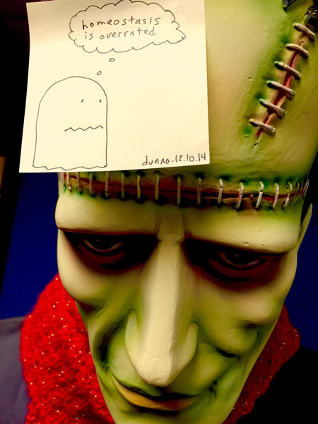 dunnoisms postcard 6 pack *Free with purchase of $10 or more